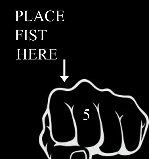 please fist here