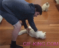 One More Time, Hooman