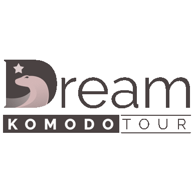Komodo Tour