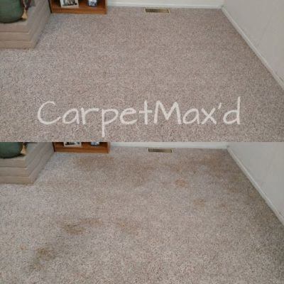 Carpet Cleaning