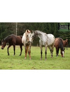 High Tensile Fencing