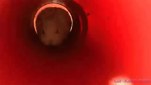 Rabbit Play Slide