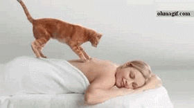 massage cat