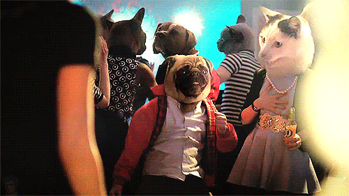 Pug Club Dance