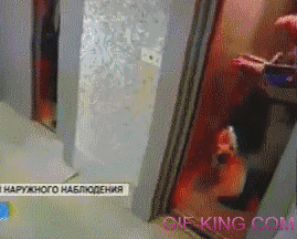 Russian Man Reacts Quickly To Save A Dog From An Elevator