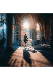 Private Tour Holland