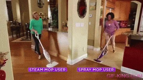 Steam Mop + Spray Mop
