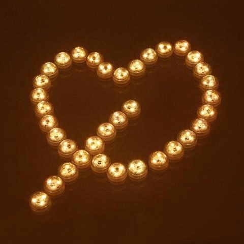 Solar Garden Lights 368000