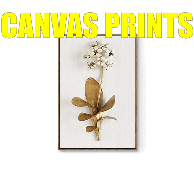 Canvas Prints