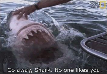 Go away, Shark