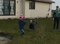 turkey pushes kid