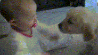 puppy and baby