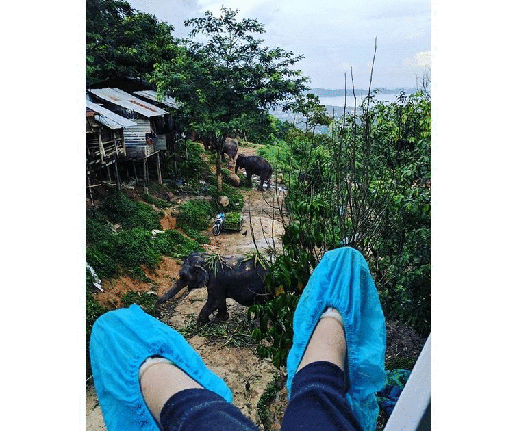 Best Waterproof Boot