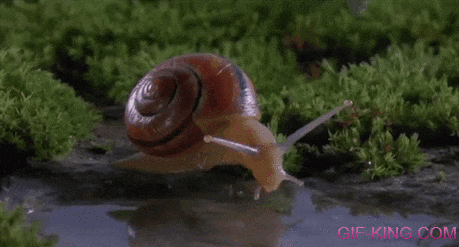 Thirsty Snail