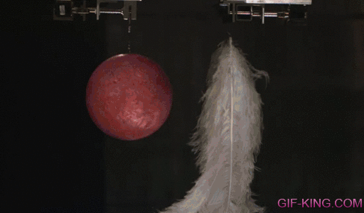Dropping Feathers And A Bowling Ball In A Vacuum
