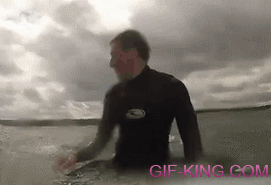 Cute Baby Seal Climbs On A Surfer’s Board
