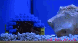 Hermit Crab Gets a Lego Home