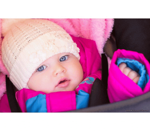 buy breast milk online