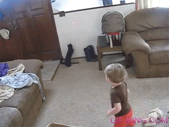 Cat And Baby Both Chase Laser Pointer