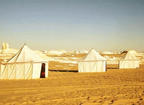 Best Egypt Travel Company