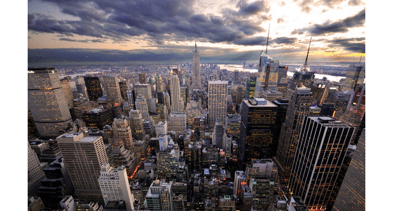 How do I find my Biological Parents