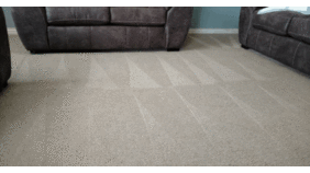 Professional Carpet Cleaning