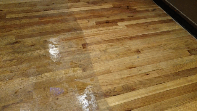 Professional Carpet Cleaning