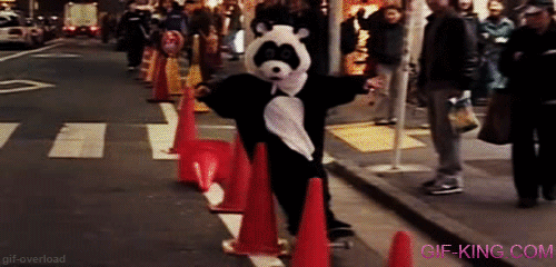 Panda Costume Skateboarding