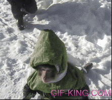 Snowsuit monkey eats now