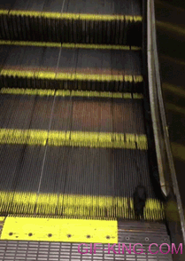 Rat Can't Figure Out Escalator