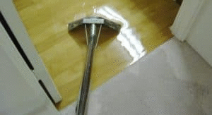 Local carpet cleaning service