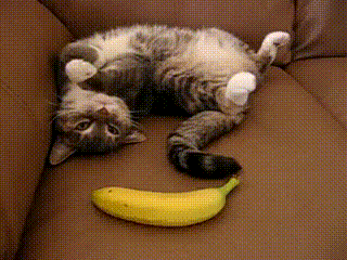 Suddenly Banana