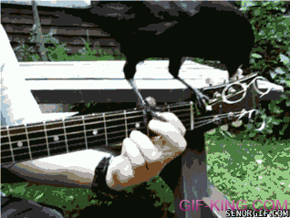 Crow Guitar Tech Helps With Tuning