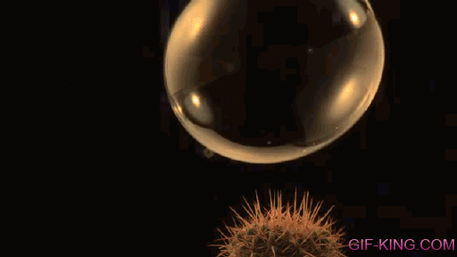 Bubble Popping In Slow Motion