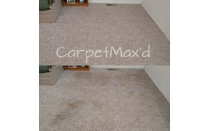 Professional Carpet Cleaning