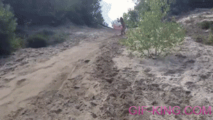 Sand Ride Fail