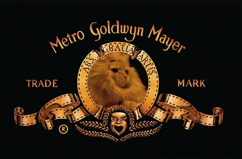 MGM's Logo Has Been Updated