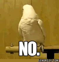 parrot says No