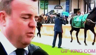 horse kicks cameraman behind reporter