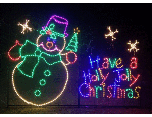 Wire Frames with LED Lights