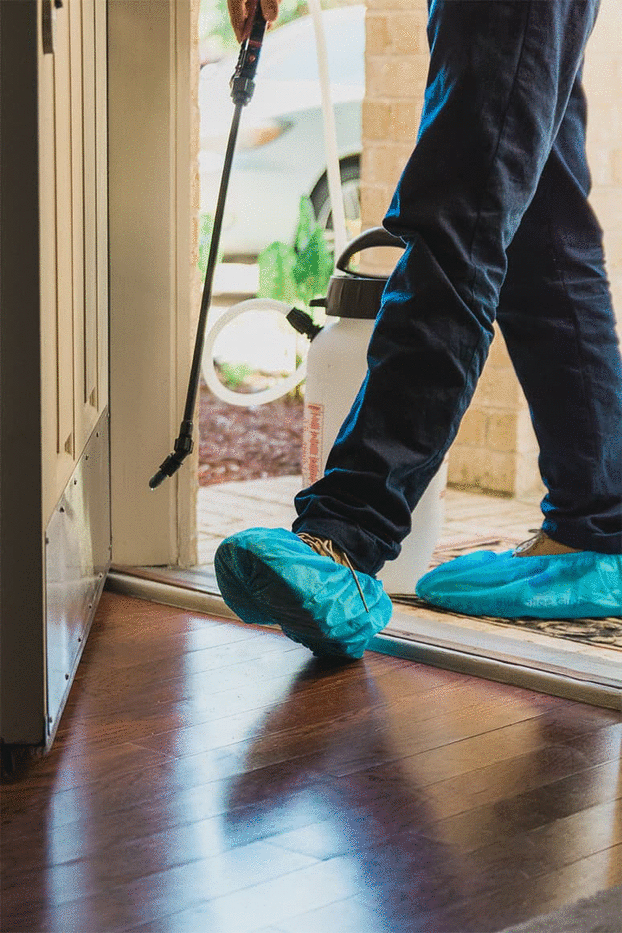 Disposable Boot Covers