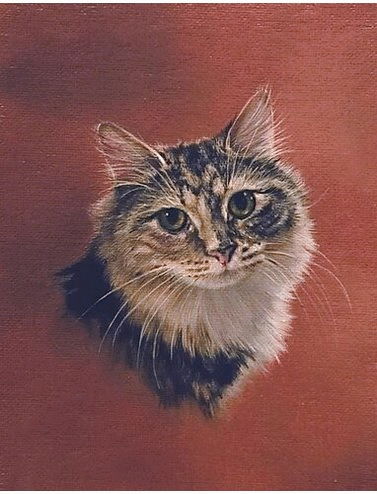 Pet Portraits from Photo