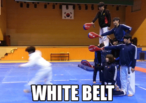 White belt to black belt in 2 seconds