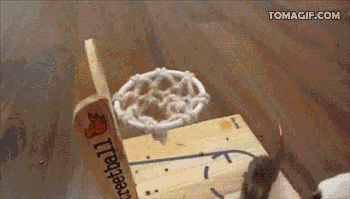 Mouse dunking a basketball