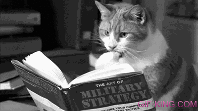 cat reading book military strategy