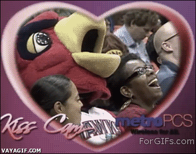 The best kiss cam
