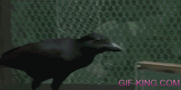 Smart Crow