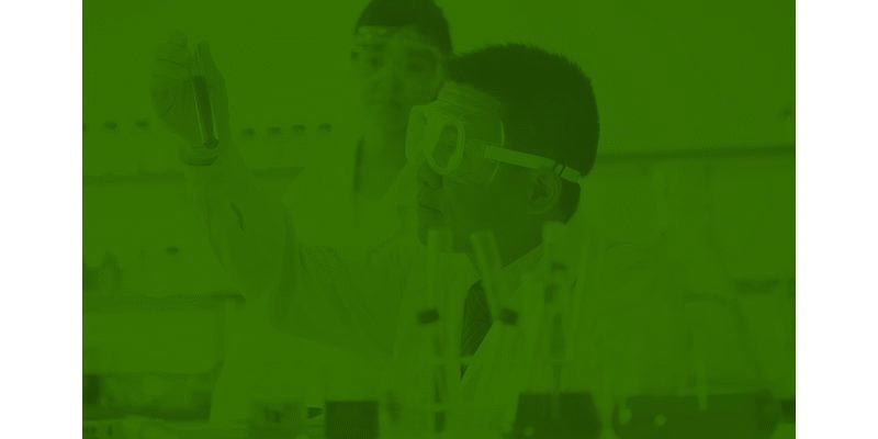 Poe Encapsulant Films