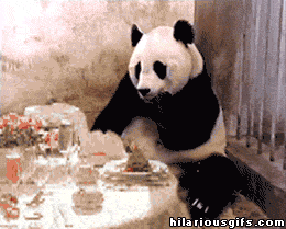 Panda Gets the Bill at a Fancy Restaurant