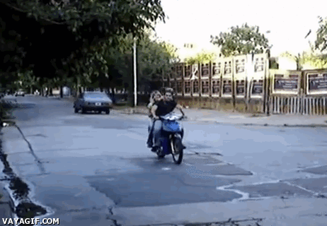 Dog Rides Motorcycle